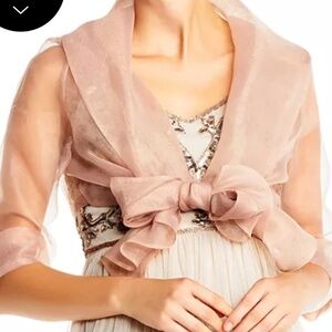 Adrianna Papell Organza wrap
